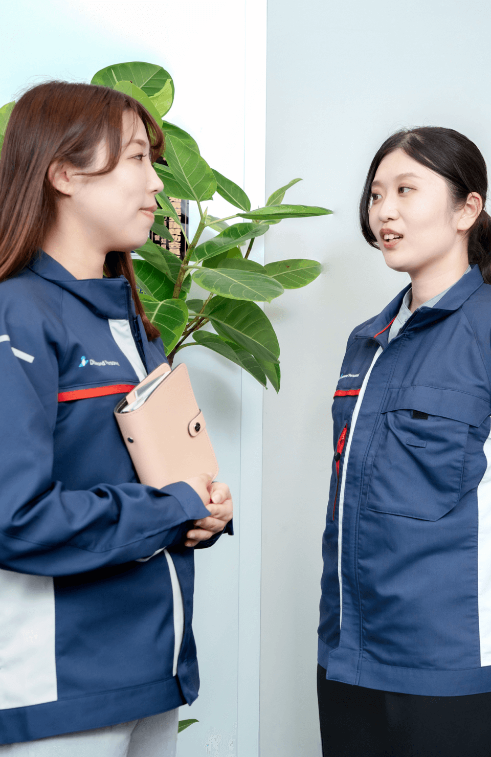 落ち着いた雰囲気で打ち合わせや相談をしている場面